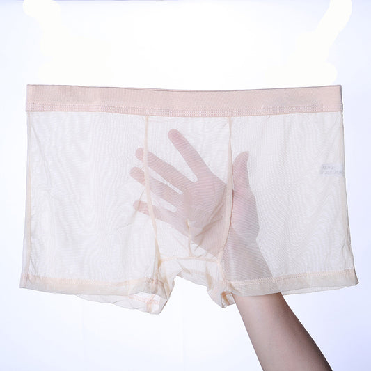 Men's Thin Mesh Transparent Black Underwear