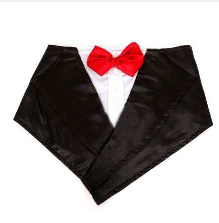 Triangle Scarves and Pet Scarves Collection